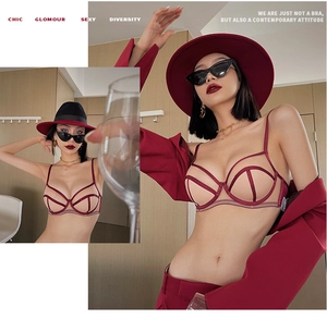 Detail view of burgundy mesh bra featuring sexy geometric cut-outs and sheer fabric