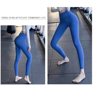 Détails du legging de yoga bleu sans couture à taille haute avec contrôle du ventre