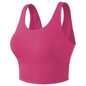 Women Nylon Shockproof Sports Bra Wide Strap Beautiful Back Yoga Top For Fitness Running Gym Sporty Casual Seamless Vest Top