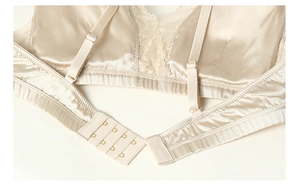 Detail of silk lace bra featuring adjustable straps and gold-tone three-row back hooks