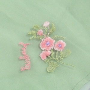 Dettaglio del ricamo floreale rosa e scritta 'Beyond' sul tessuto in tulle verde chiaro