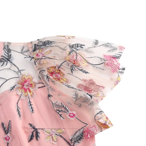 Close-up of pink mesh dress with floral embroidery and ruffled butterfly sleeves