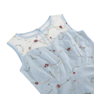 Gros plan de la broderie florale sur l'encolure en tulle d'une robe rétro bleu clair