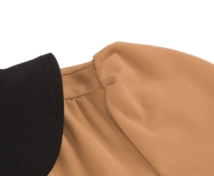 Close-up detail of vintage dress featuring a black collar and brown pleated puff sleeves