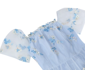 Detail of light blue mesh dress with floral embroidery and ruffle off-shoulder neckline