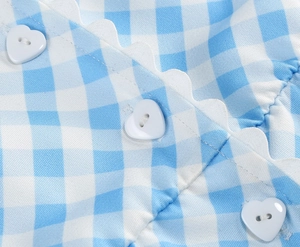 Detail of blue gingham dress featuring white heart-shaped buttons and scalloped lace trim