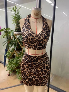 Vue détaillée du haut dos nu à imprimé léopard et de la mini-jupe assortie sur mannequin