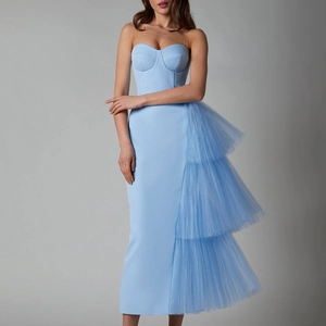 Elegant Women's Tube Top Evening Dress Mesh Pleated Slim Fit Slit Maxi Dress For Party Banquet Summer Vacation Long Skirt