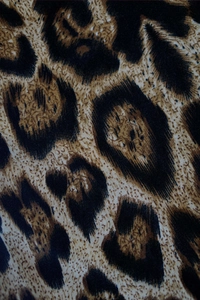 Primer plano del estampado de leopardo que muestra la textura y el color de la tela