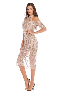 Detailed view of champagne evening dress featuring silver sequins and tiered fringe tassels