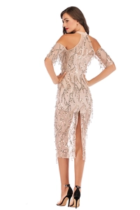 Detail of champagne sequin tassel dress with open back and elegant slit design