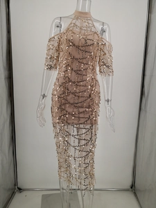 Detail of champagne sequin dress featuring geometric wave patterns and fringe on sheer mesh