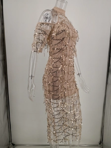 Detailed view of champagne mesh dress featuring golden sequins and sheer sleeve fringe