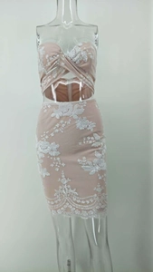 Detail of sequined lace embroidery and waist cutout on a pink tube bodycon dress
