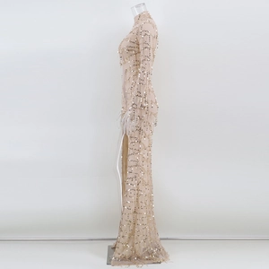 Close-up of champagne sheer mesh evening dress featuring gold sequins and a high side slit