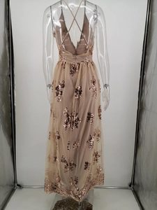 Close-up of champagne sequin dress featuring cross back straps and floral mesh fabric
