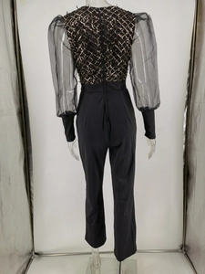 Detail of sequin mesh bodice and black sheer mesh puff sleeves on a bodysuit