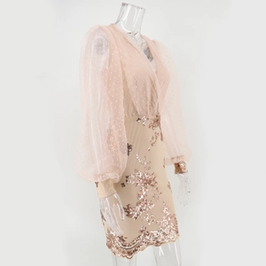 Detailed close-up of champagne mesh lantern sleeves and rose gold sequin embroidery on dress