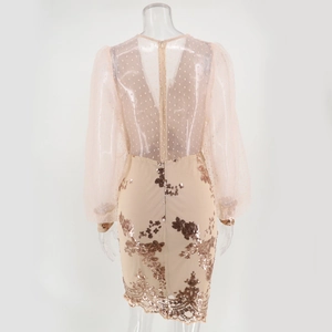 Detail of sheer polka dot mesh sleeves and gold floral sequin embroidery on the dress back