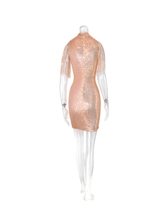 Vue arrière d'une robe mini à paillettes champagne doré avec des détails de franges