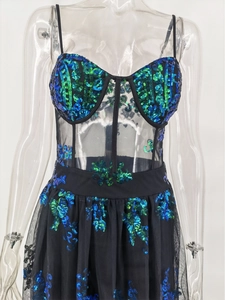 Detail der Paillettenstickerei mit Pfauenglanz auf transparentem Netzabendkleid