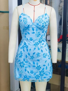 Robe courte moulante bleu clair sexy avec broderies florales et détails de perles blanches