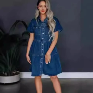 Detail of short-sleeved denim dress with lapel collar and tiered skirt layering