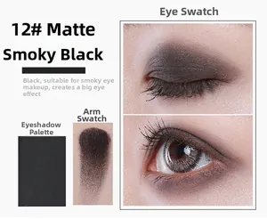 Smoky black matte eyeshadow swatches and eye makeup detail for 12-color nude palette