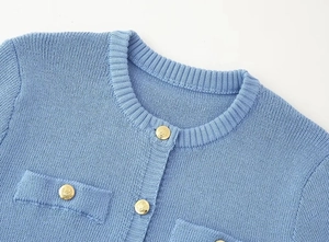 Close-up of light blue knit dress with ribbed round neck and embossed gold lion buttons