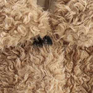 Women's chic camel teddy fleece jacket with curly plush texture and black button detail