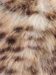 Détail macro de la texture fausse fourrure léopard avec des poils synthétiques très doux