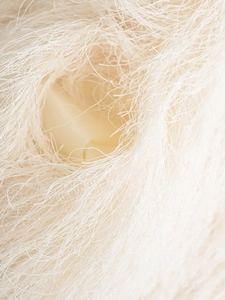 Macro shot of cream-colored fringed tassels and soft textile texture on a jacket