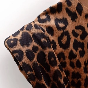 Detailed close-up of velvet leopard print fabric texture and sleeve seam of the dress