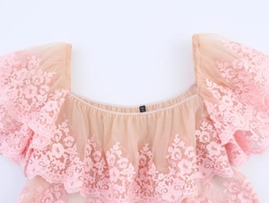 Detailed view of pink mesh top featuring delicate lace embroidery and layered ruffles