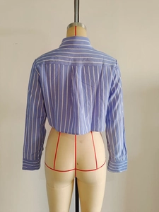 Detail view of the back of a blue and white striped cropped shirt with back pleat