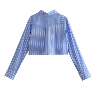 Close-up of blue and white striped cropped shirt featuring a horizontal stripe back yoke