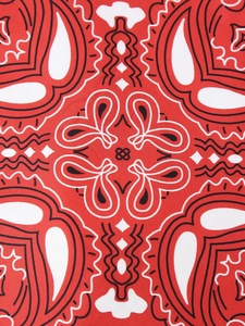 Detailed macro view of high-quality red paisley pattern on cotton street style vest fabric