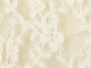 Vue macro d'un tissu en dentelle florale ivoire avec broderies sur base de tulle