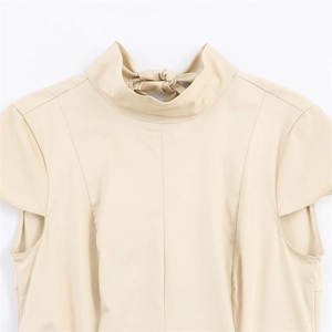 Chic beige sleeveless mock neck dress with elegant back tie detail and seam stitching