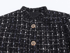 Detail of tweed blazer fabric with retro gold lion shield embossed metal button