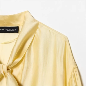 Elegant champagne satin long-sleeve blouse with stylish neck tie design and silky shine