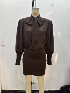 Detailed view of dark brown dress featuring sheer lantern sleeves and a large bow tie neck