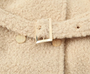 Macro detail of beige teddy coat waist belt with gold buckle and embossed buttons