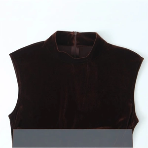 Brown velvet sleeveless mini dress with high collar and invisible back zipper