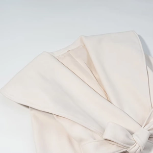 Detail of soft beige wool coat featuring a wide shawl lapel and elegant belted waist tie