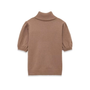 Flat lay back view of a brown short-sleeve knit top with a high neckline and ribbed trim