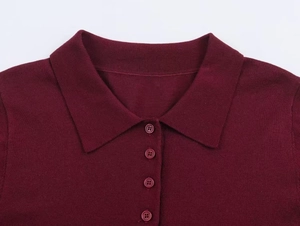Detail shot of burgundy long-sleeve knit polo shirt with lapel collar and four matching buttons