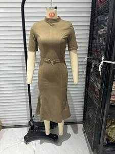 Detail view of brown short-sleeved dress with stand-up collar and silver buckle belt
