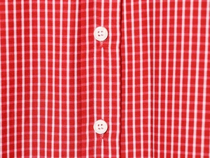 Close-up detail of red and white gingham shirt showing placket and white circular buttons