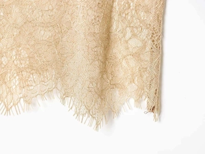Detailed macro view of champagne lace embroidery with delicate eyelash trim texture